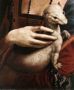 Retrato De Cecilia Gallerani (detalhe) — Leonardo Da Vinci