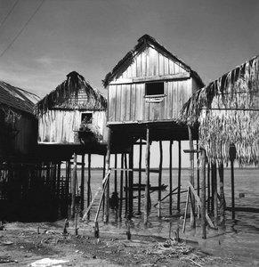 Stilt Houses near Manaus