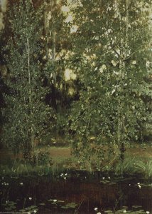 Pond in Ochtir