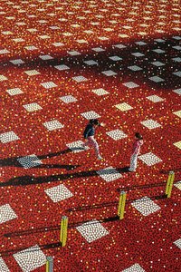 Crimson Labyrinth: Echoes Of Infinity — Jacques Villedieu